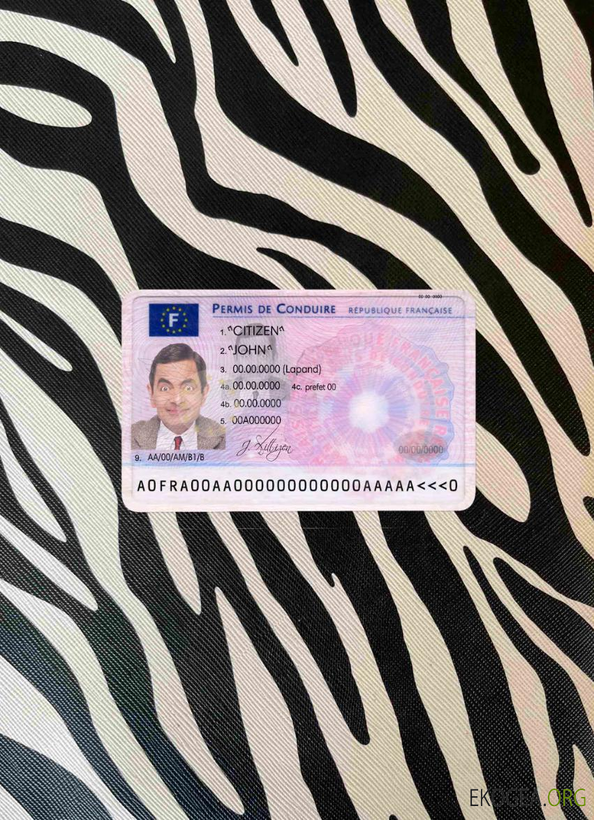 France DL photolook DEVANT